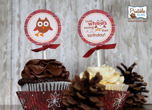 Owl Birthday Party Ideas and Printables by LivingLocurto.com