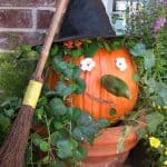 Halloween Witch Pumpkin | Easy Craft Idea | Living Locurto
